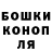 Галлюциногенные грибы Magic Shrooms SET MARK