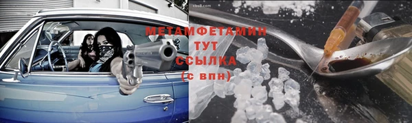 индика Медвежьегорск