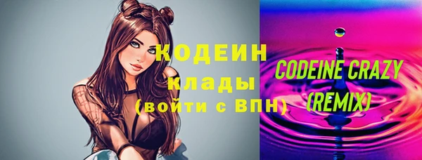 индика Медвежьегорск