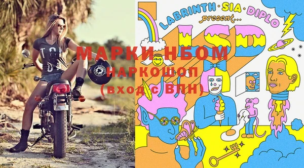индика Медвежьегорск
